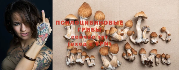 МДПВ Алексин