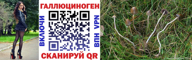 shop официальный сайт  Сосновка  Галлюциногенные грибы GOLDEN TEACHER 